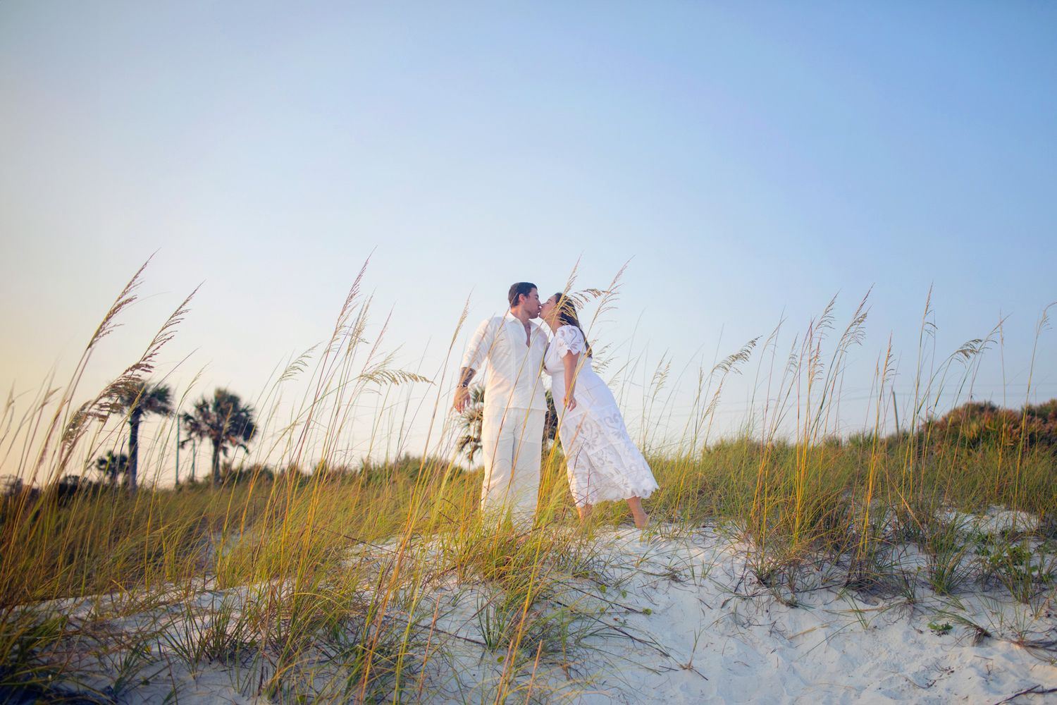 A panoramic collage of beach dunes with sea oats swaying in the breeze along a pristine coastline.