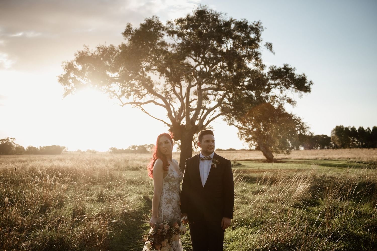 Wedding couple stands in golden field at sunset with majestic tree silhouette in background.