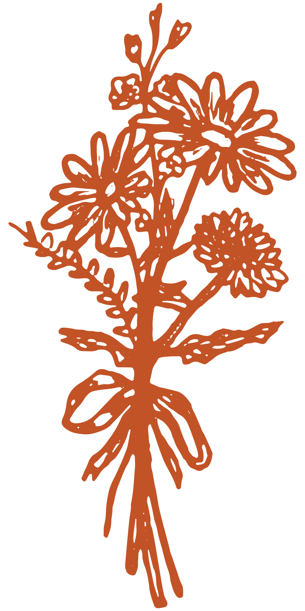 Delicate orange illustration of a tied wildflower bouquet with daisies.