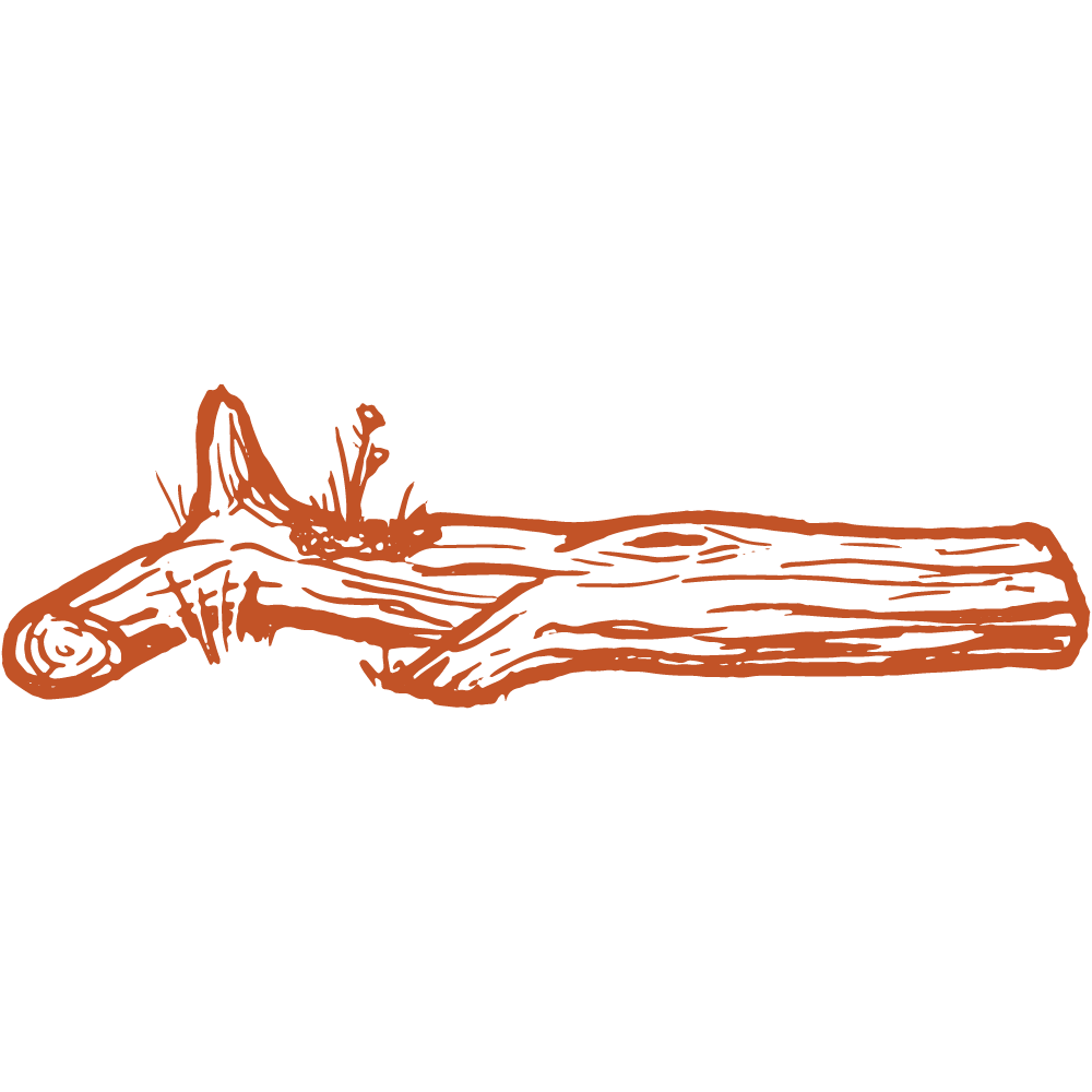 Rustic hand-drawn illustration of a fallen log with a broken branch, rendered in warm terracotta orange ink style.