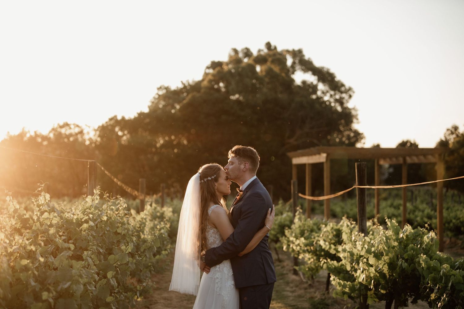 A romantic sunset wedding portrait with couple embracing in vineyard setting.