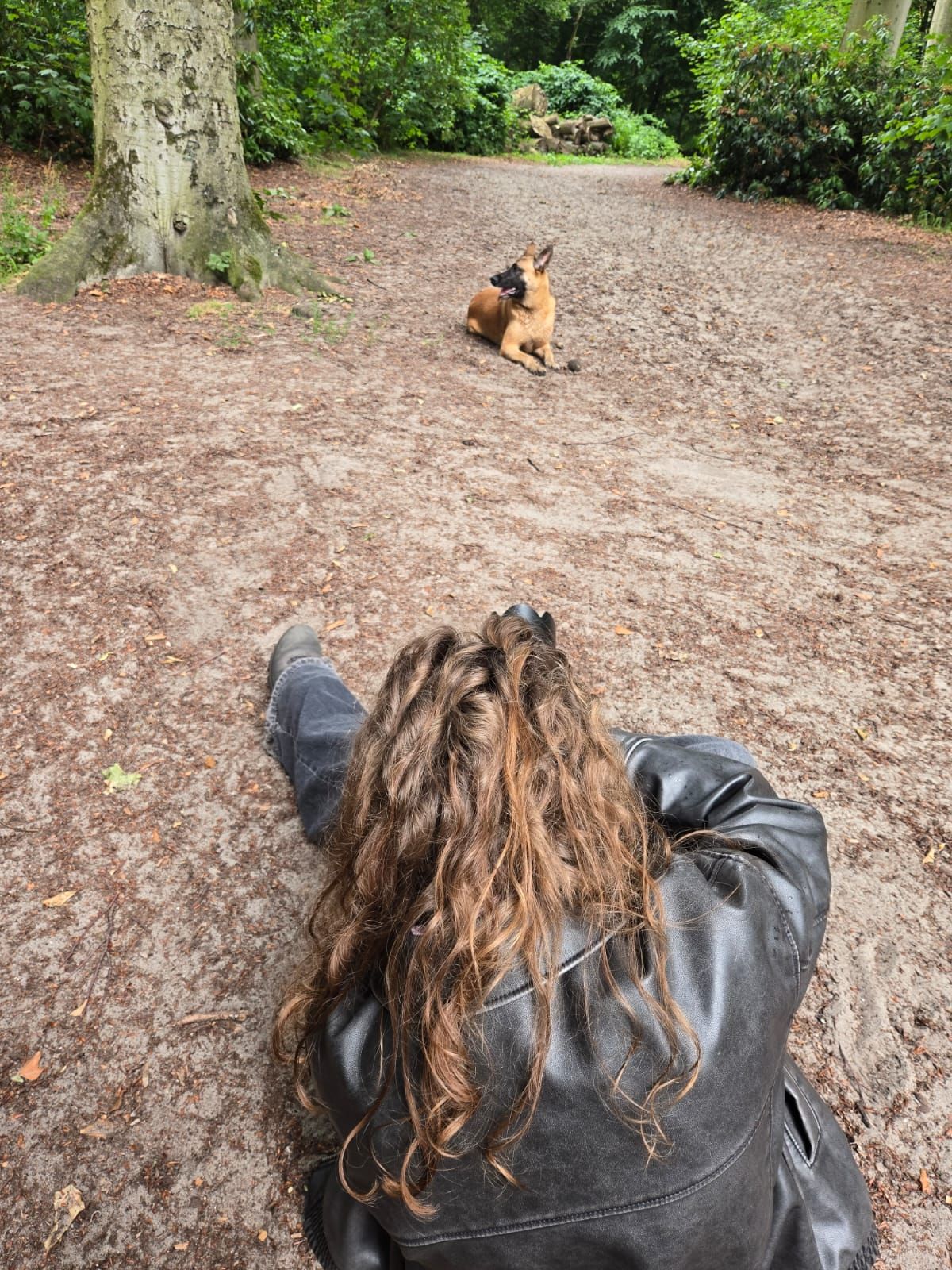 Person with long curly hair photographing a German Shepherd dog lying on a forest dirt path.