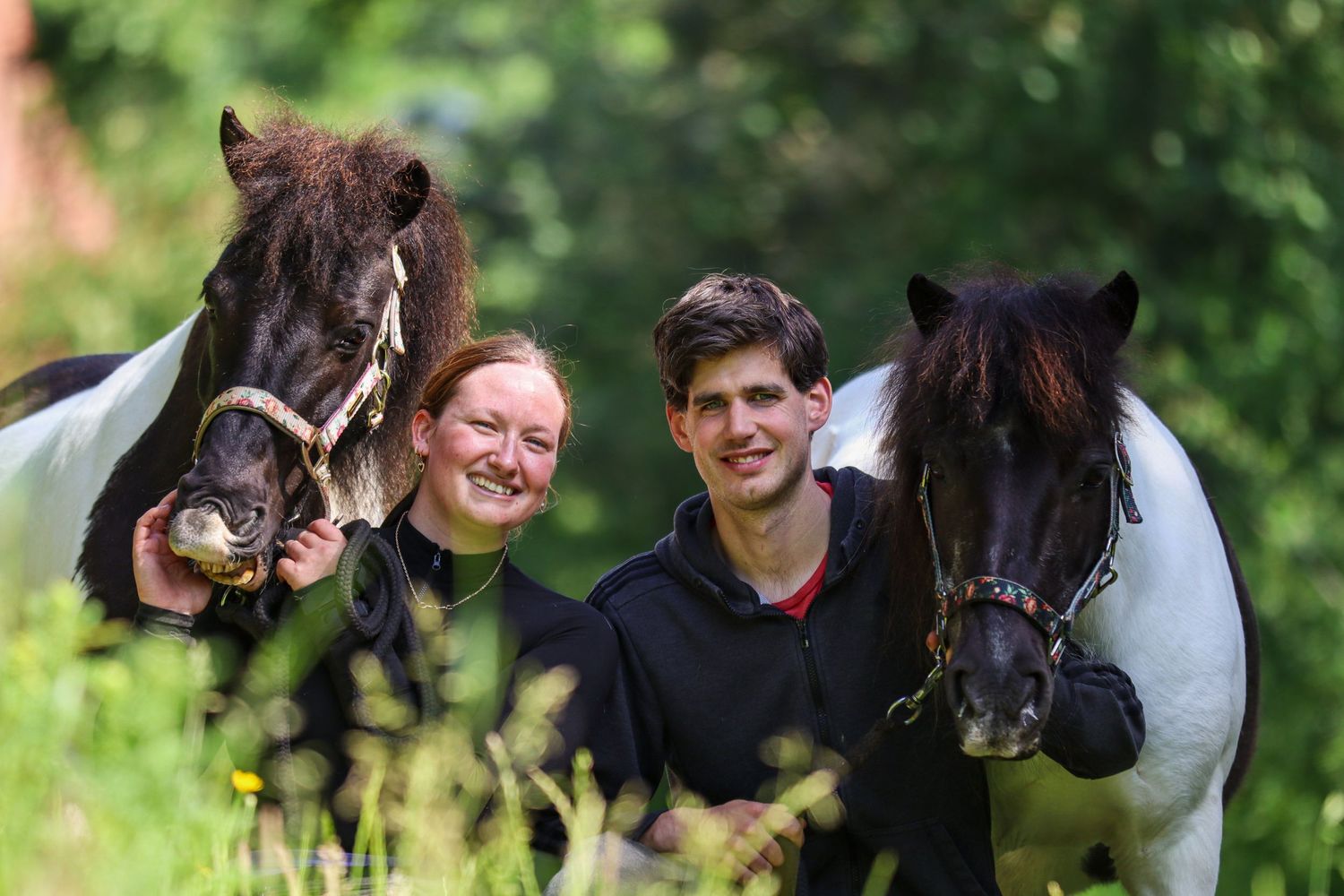 paardenfotograaf-katwijk-paard.jpg