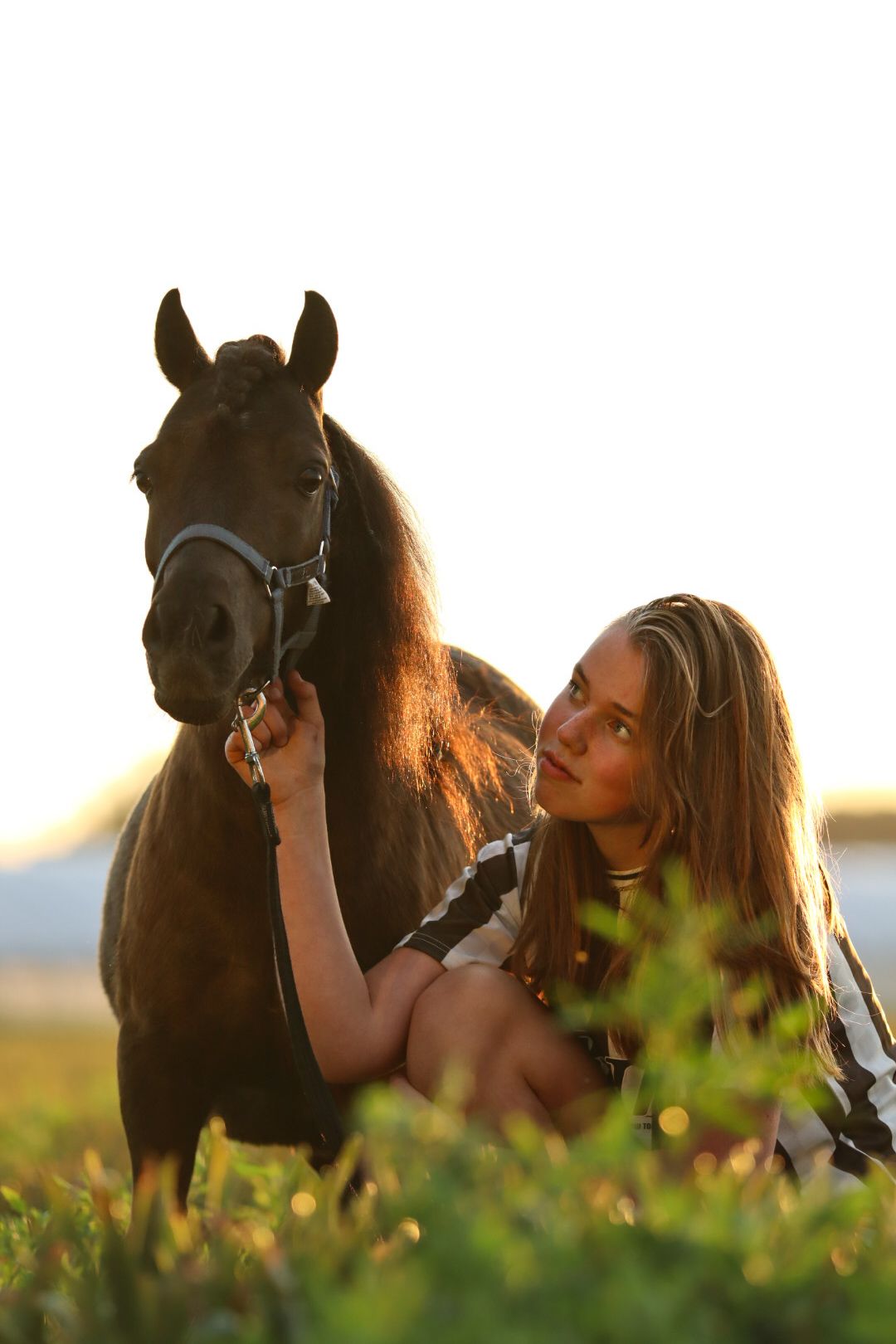 paardenfotograaf-katwijk-paard.jpg