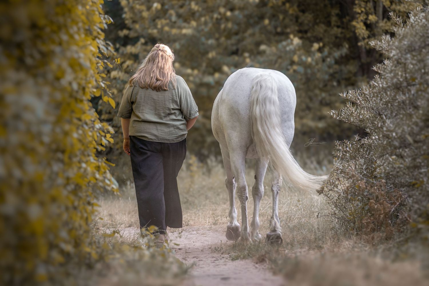 Woman walking with a white horse on a sandy forest path surrounded by lush green trees.