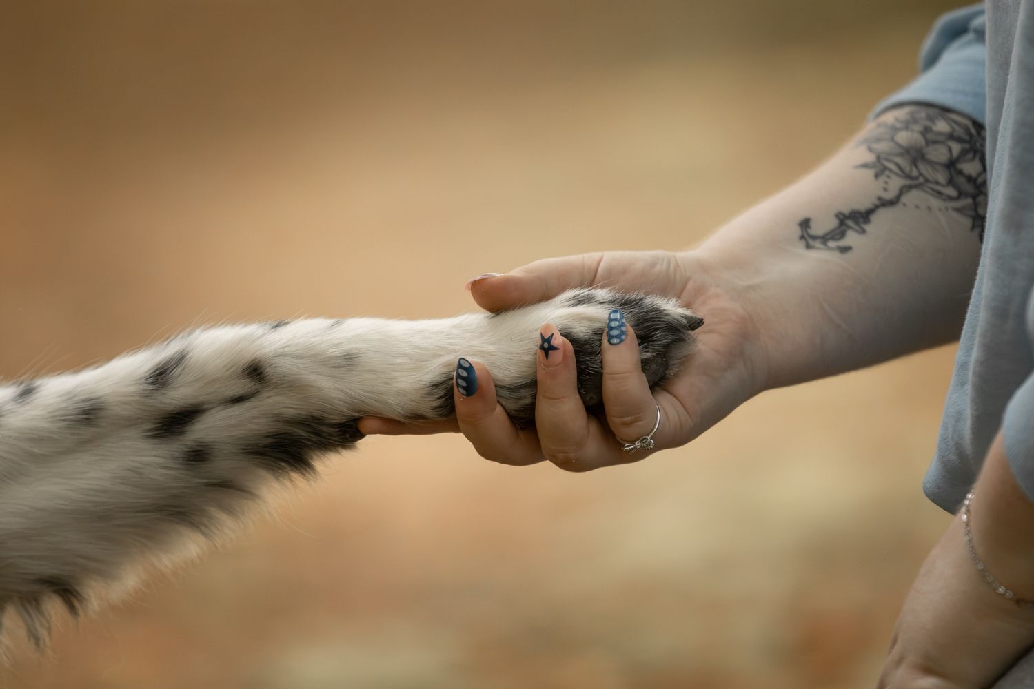 Tattooed woman shaking paws with a spotted dog, symbolizing trust and bond between human and pet.