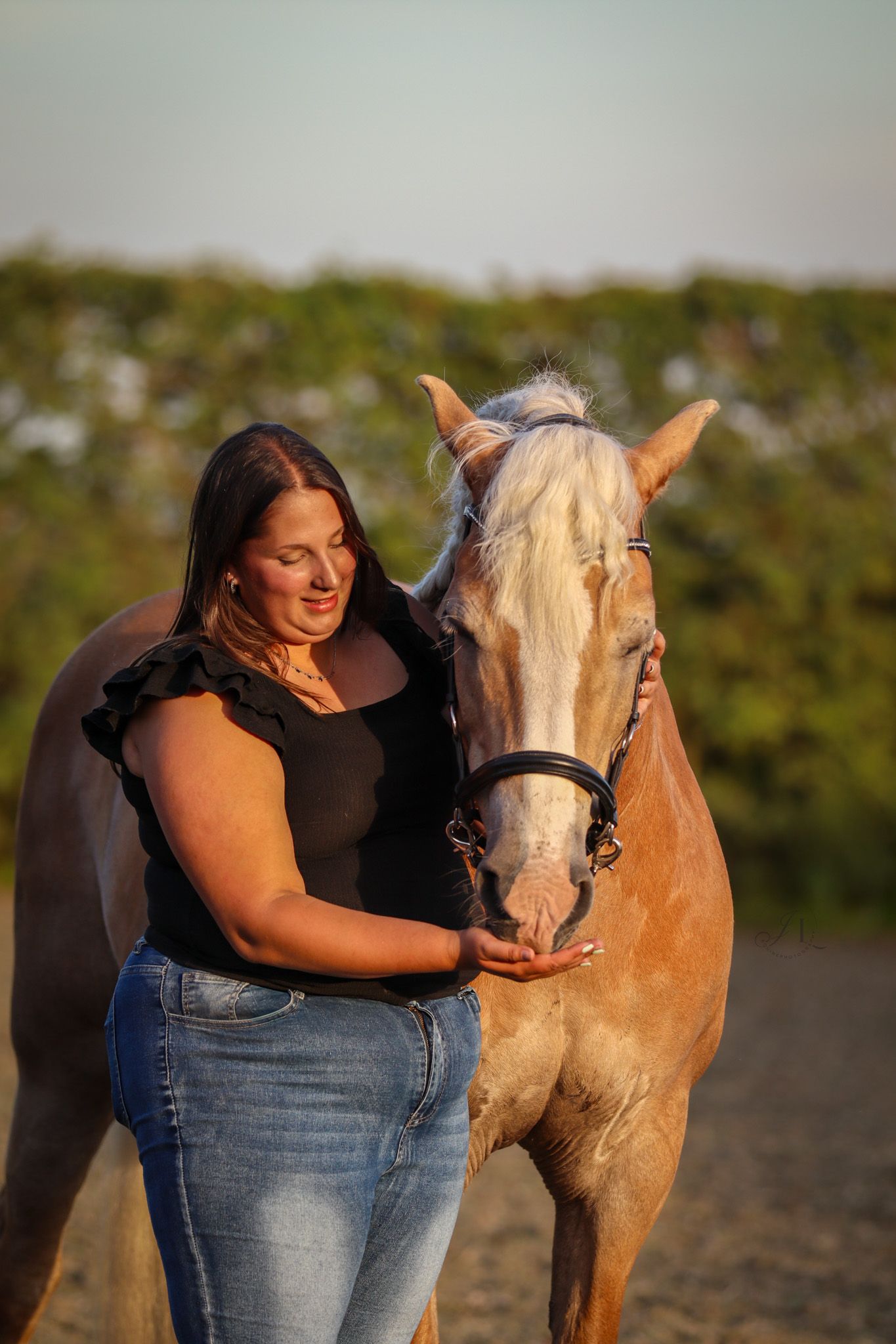 paardenfotograaf-katwijk-paard.jpg
