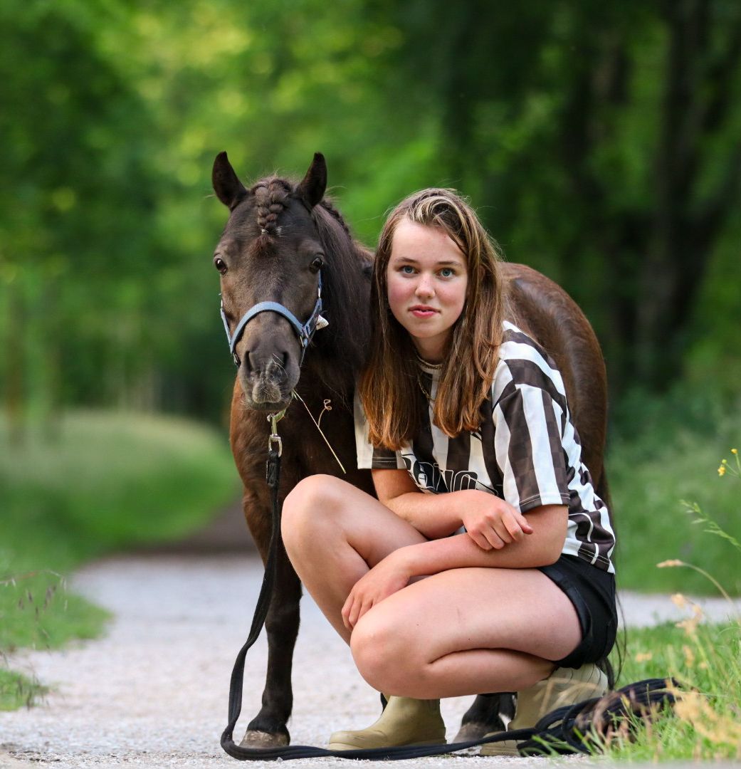 paardenfotograaf-katwijk-paard.jpg