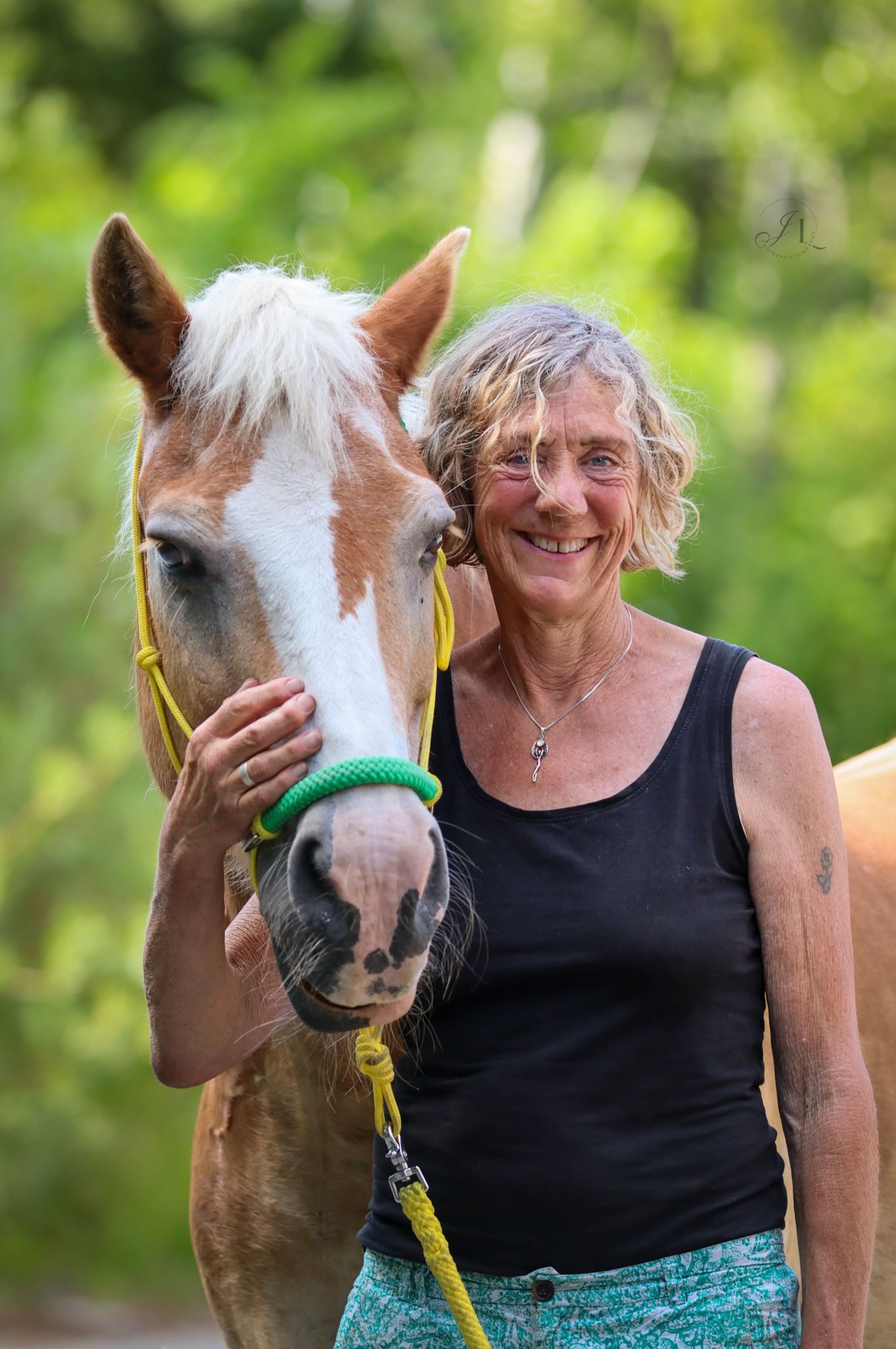 paardenfotograaf-katwijk-paard.jpg