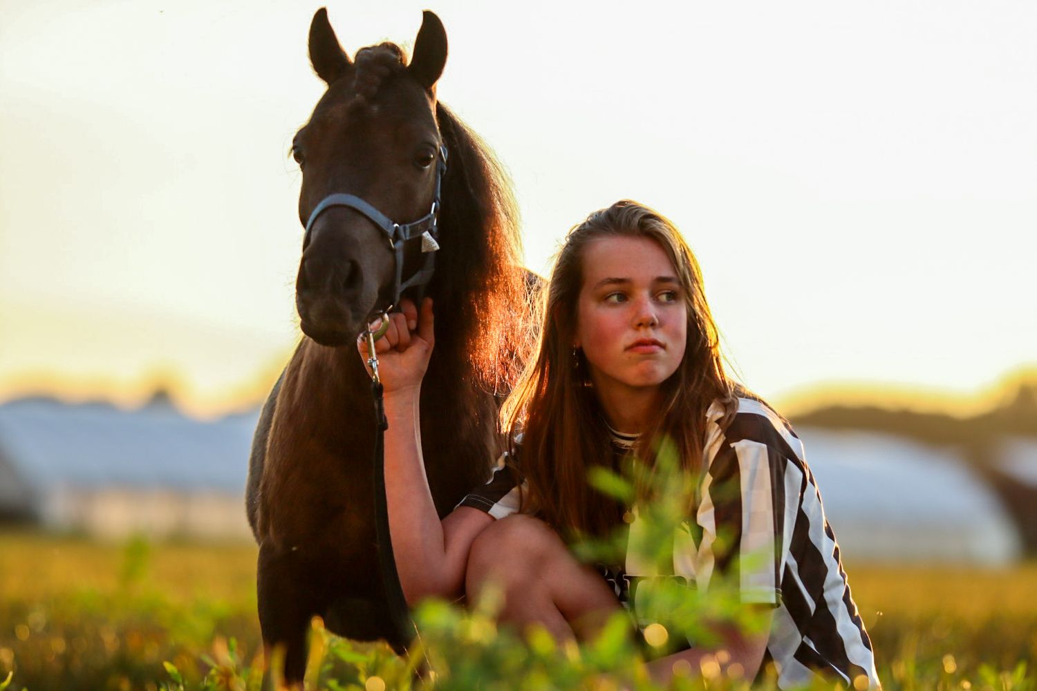 paardenfotograaf-katwijk-paard.jpg