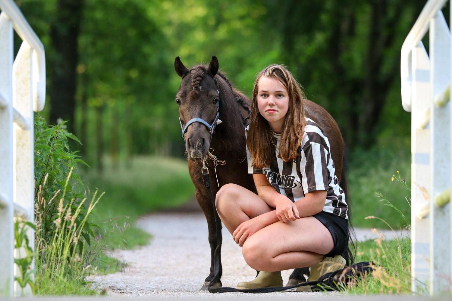 paardenfotograaf-katwijk-paard.jpgpaardenfotograaf-katwijk-paard.jpg