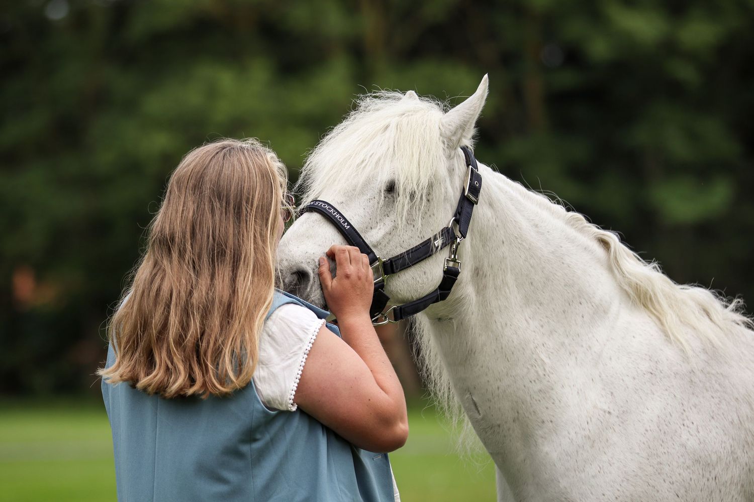 paardenfotograaf-katwijk-paard.jpg