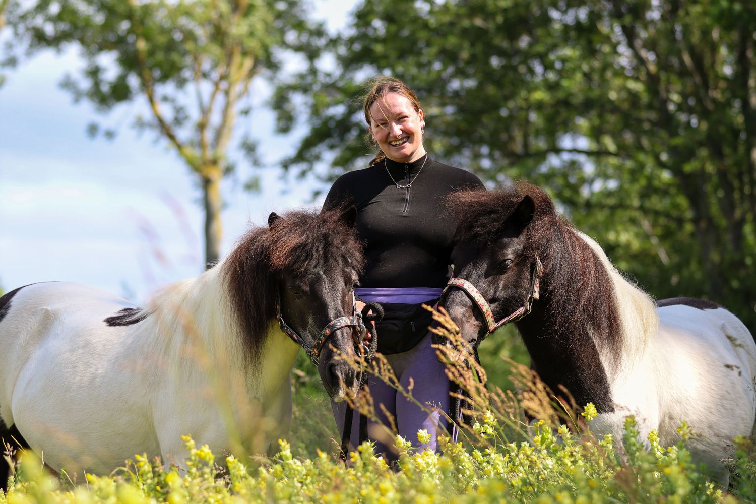 paardenfotograaf-katwijk-paard.jpg