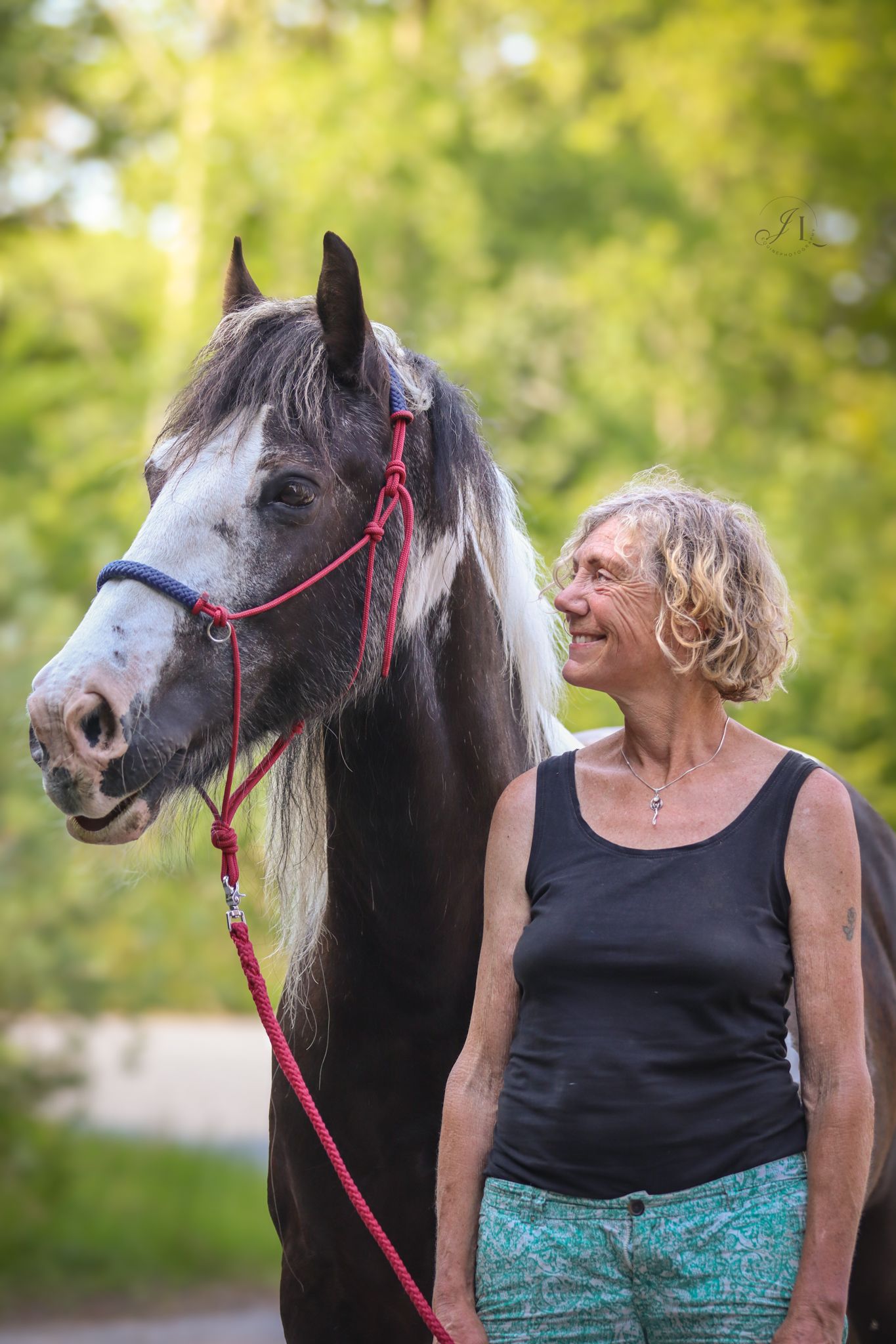 paardenfotograaf-katwijk-paard.jpg