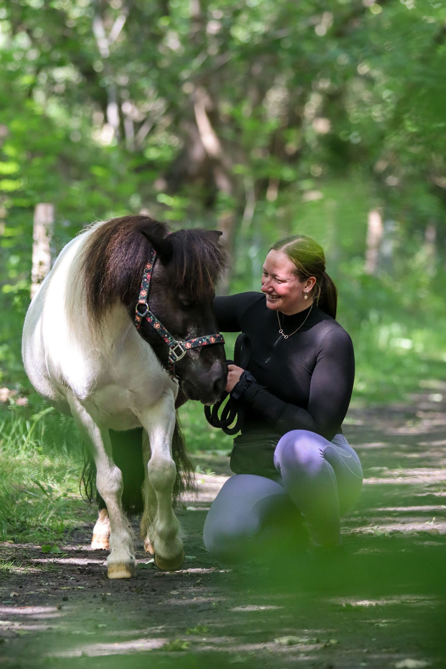 paardenfotograaf-katwijk-paard.jpg