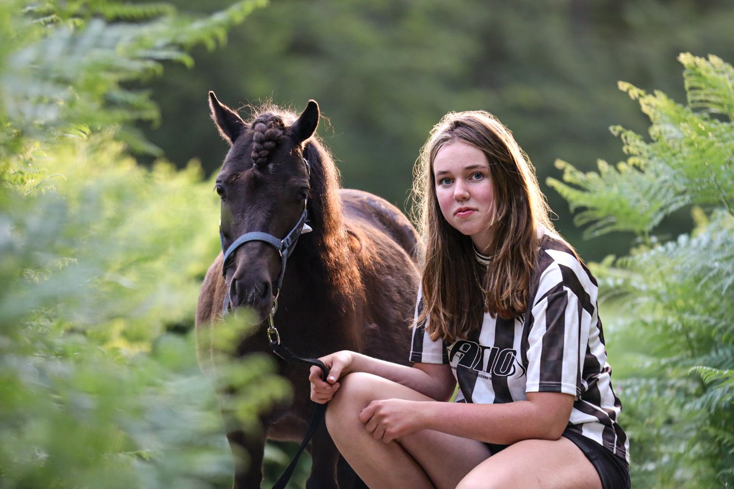 paardenfotograaf-katwijk-paard.jpg