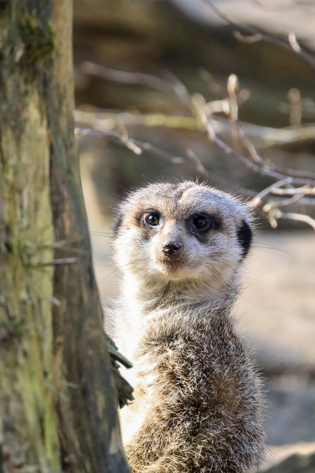 natuurfotografie-zuid-holland.jpg