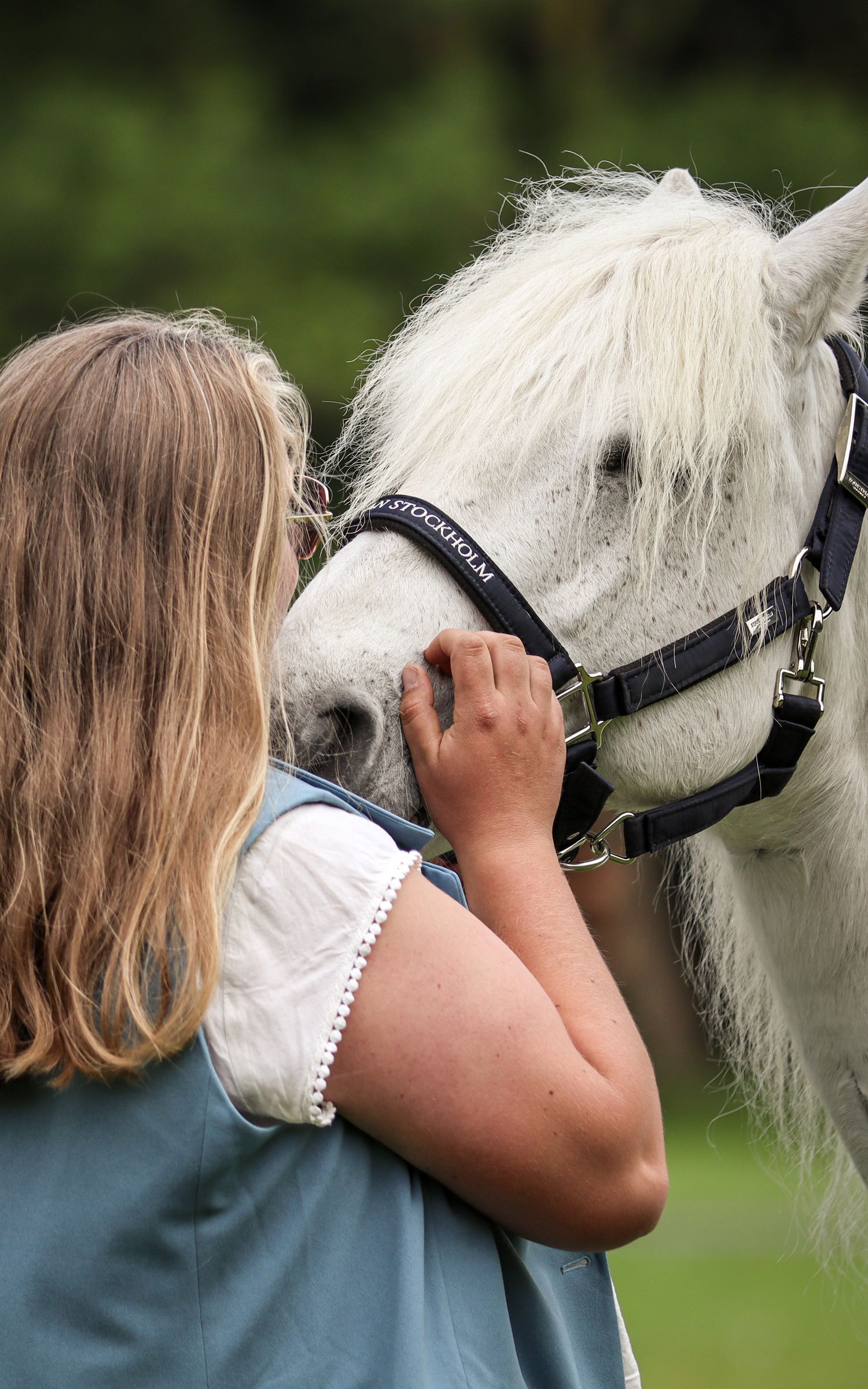 Young girl with brown hair gently petting a white pony wearing a dark halter.