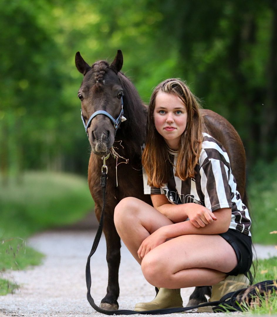 paardenfotograaf-katwijk-paard.jpg