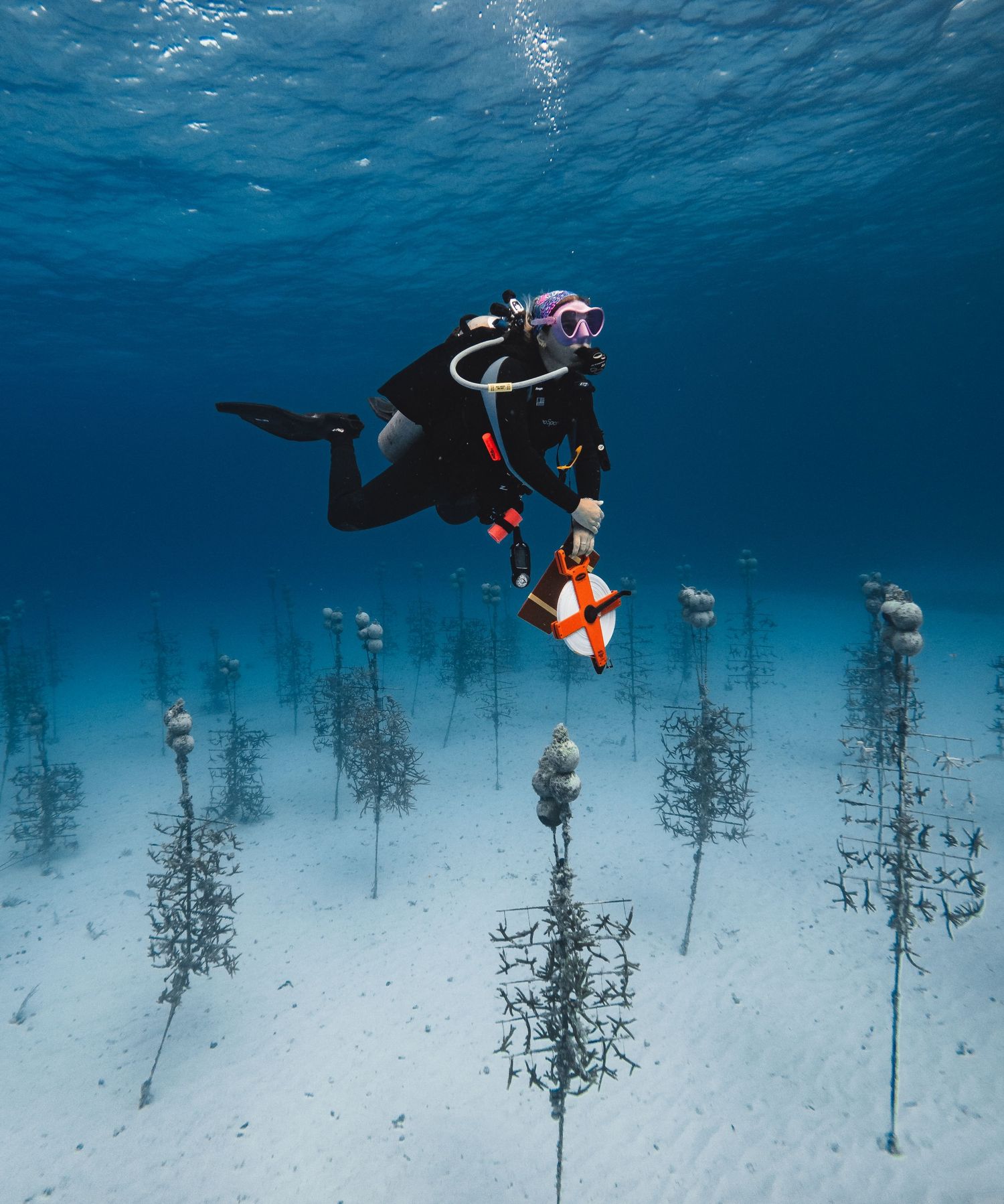 Coral Restoration Foundation Nursery Diver
