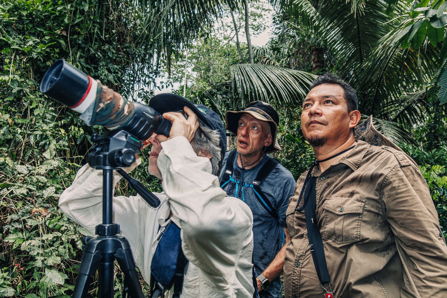 Manu National Park wildlife watching tour