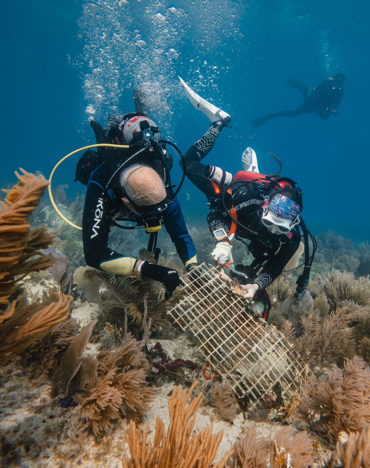 Florida keys Dive against debris