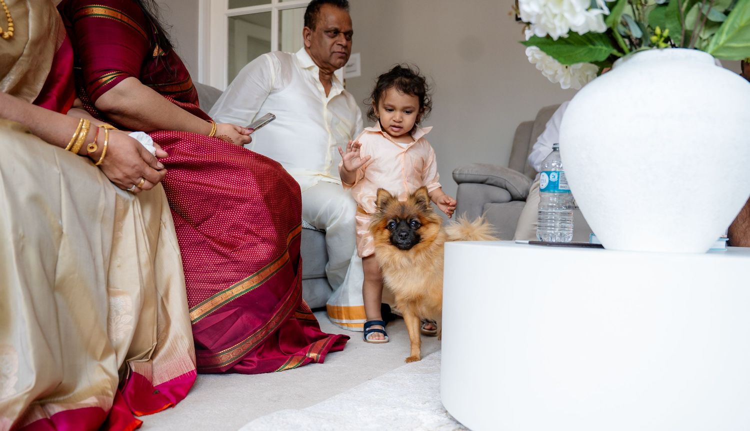 Small Pomeranian dog standing beside toddler in traditional outfit at an Indian family wedding event.
