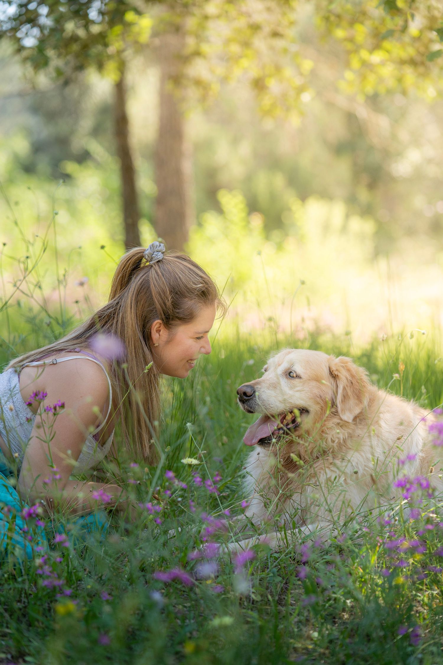 Fotos Golden Retriever en exteriores en Barcelona