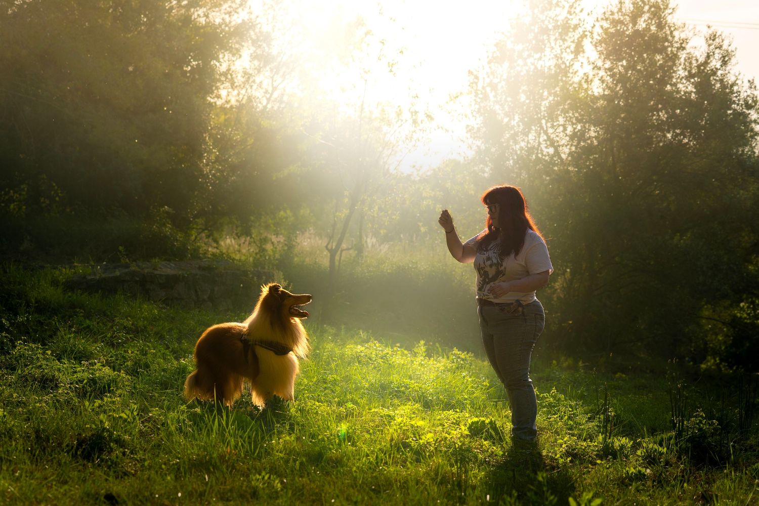 Reportaje fotografico perros y familias