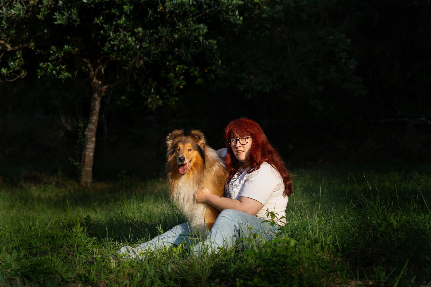 Fotografia de Rough Collie y su familia