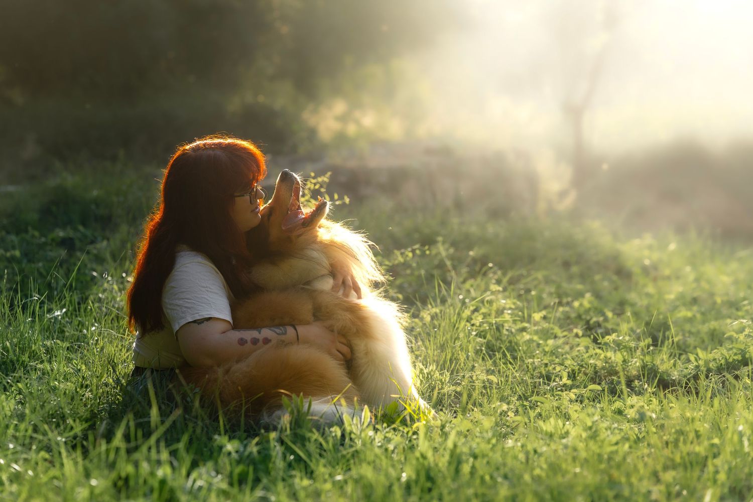Reportajes perros Routh Collie en Baix Llobregat