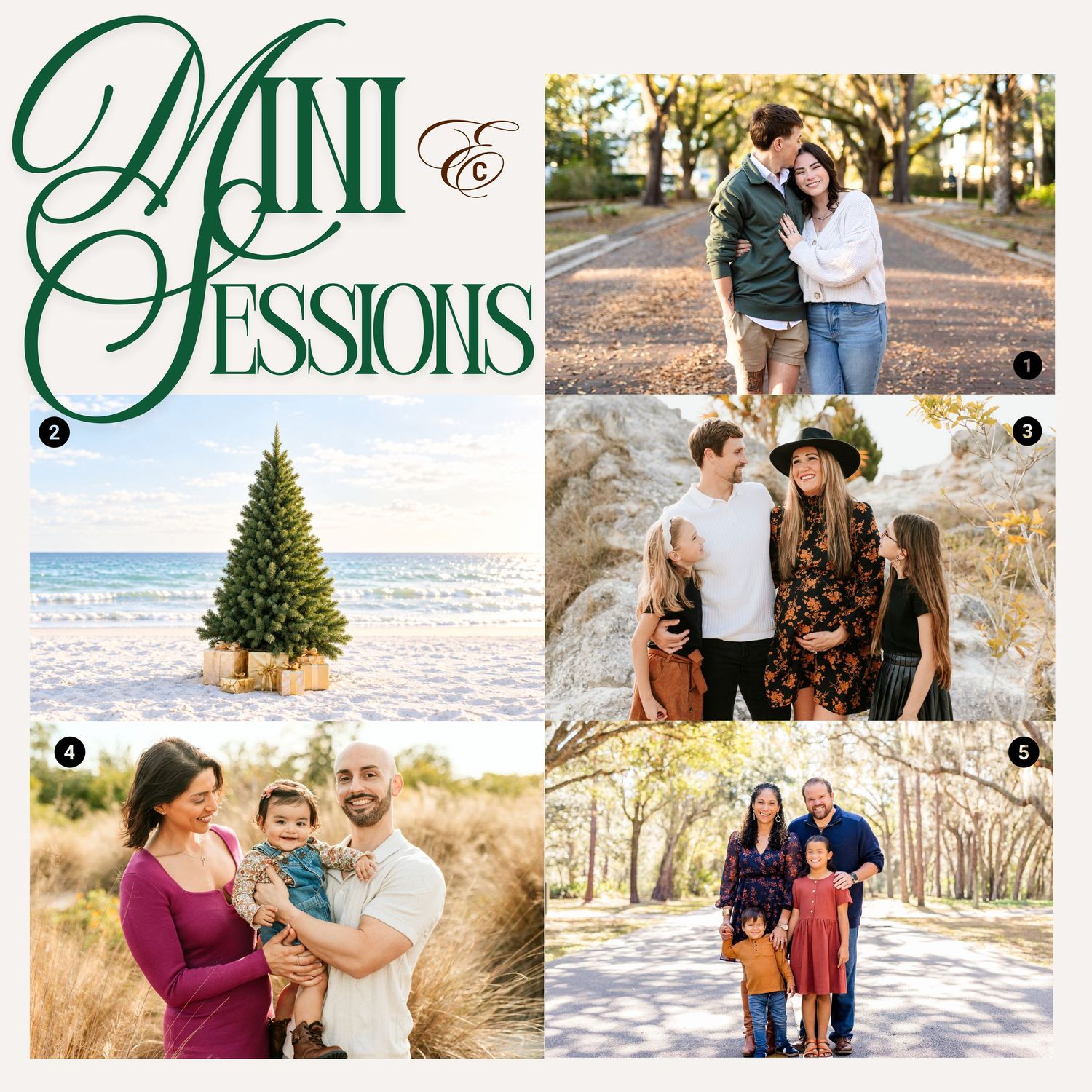 Mini Sessions holiday photo collage featuring couples, families, and a Christmas tree on a beach setting.