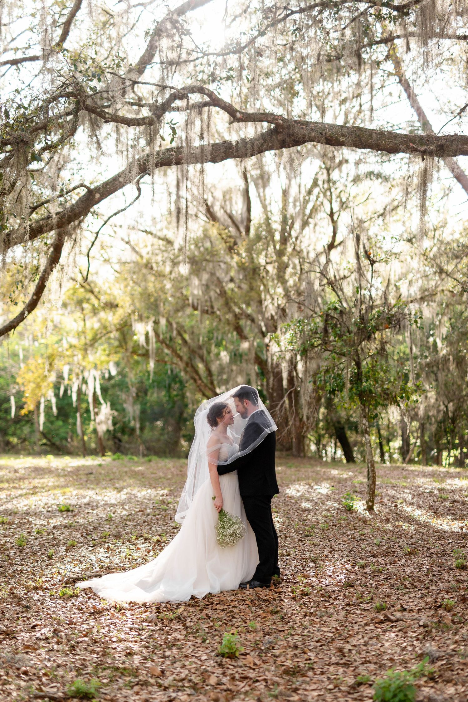 Romantic bride and groom sharing a kiss under Spanish moss-draped oak trees in a sunlit forest setting.