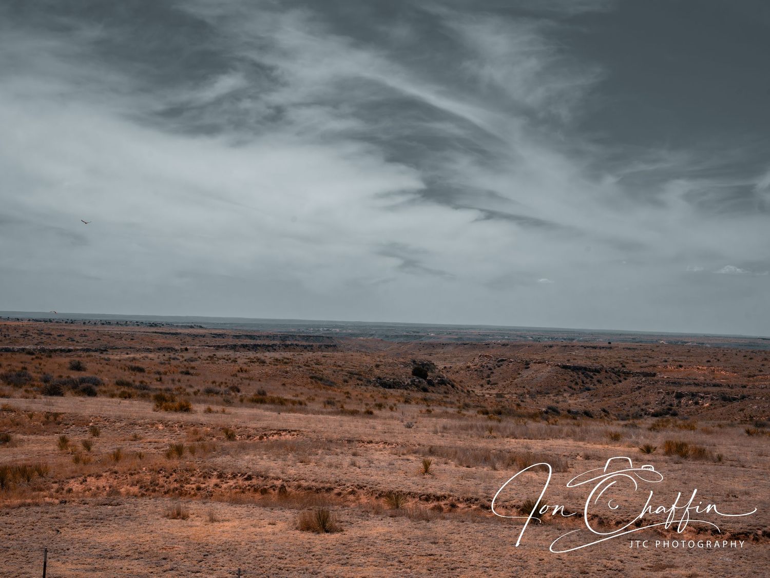 Vast arid desert landscape under dramatic cloudy sky in muted earth tones.