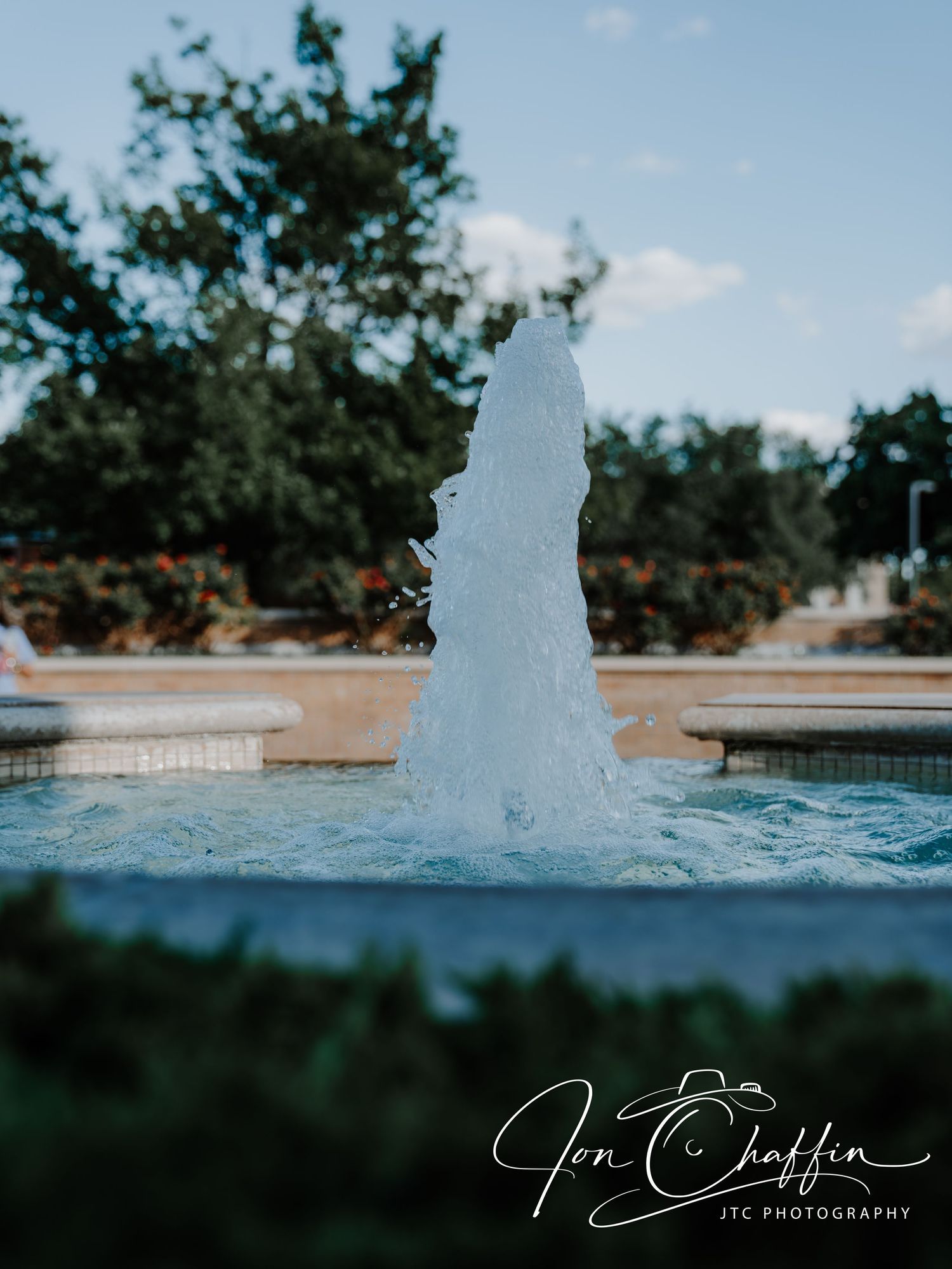 A water fountain jets upward in a serene outdoor garden setting with lush green trees and soft bokeh background.