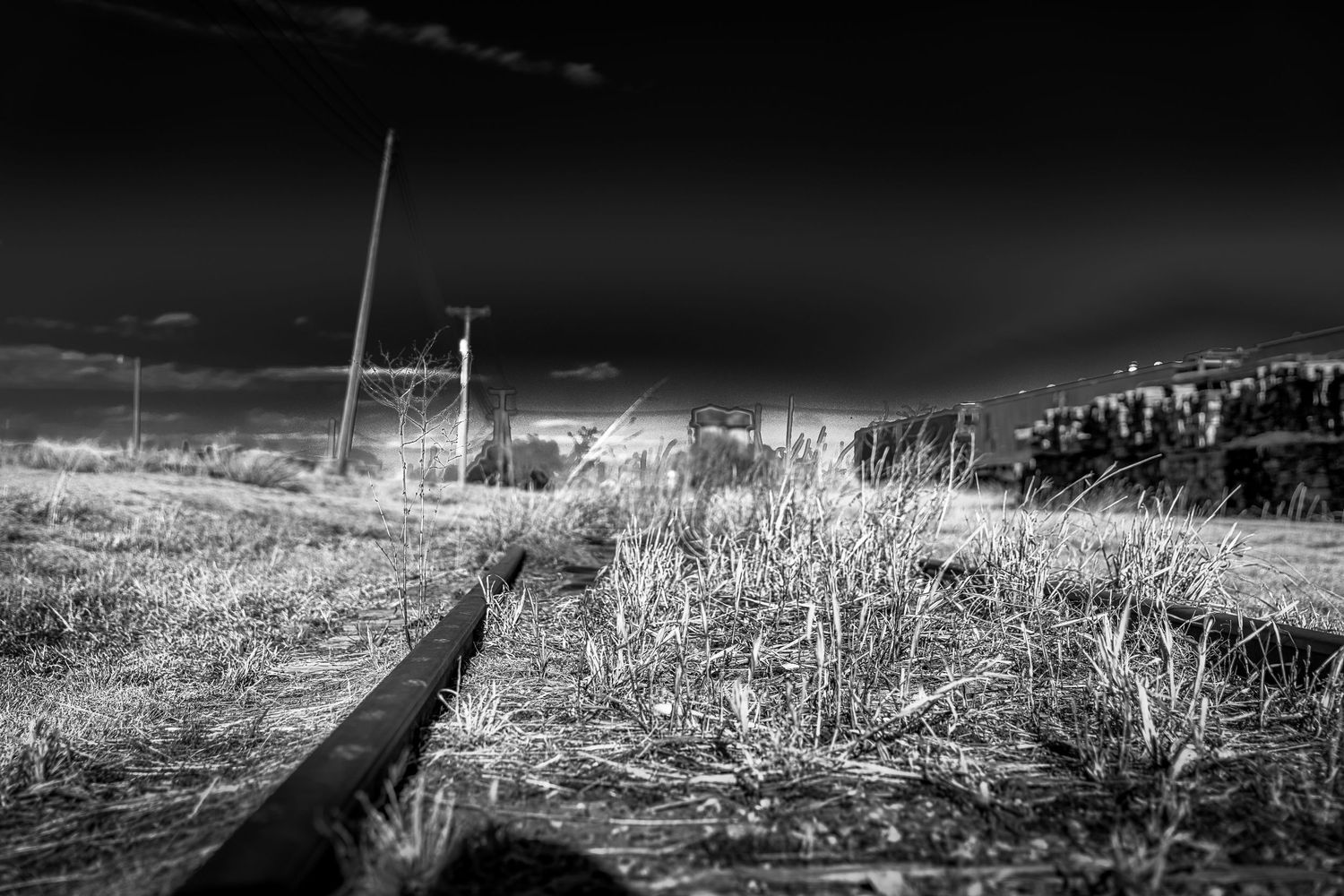 Black and white infrared photo of a rural landscape with a fallen log, utility poles, and a house in the background.