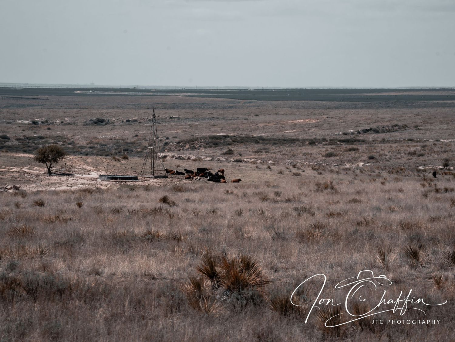 Vast flat Texas plains with abandoned farm equipment and dry grass under overcast sky.