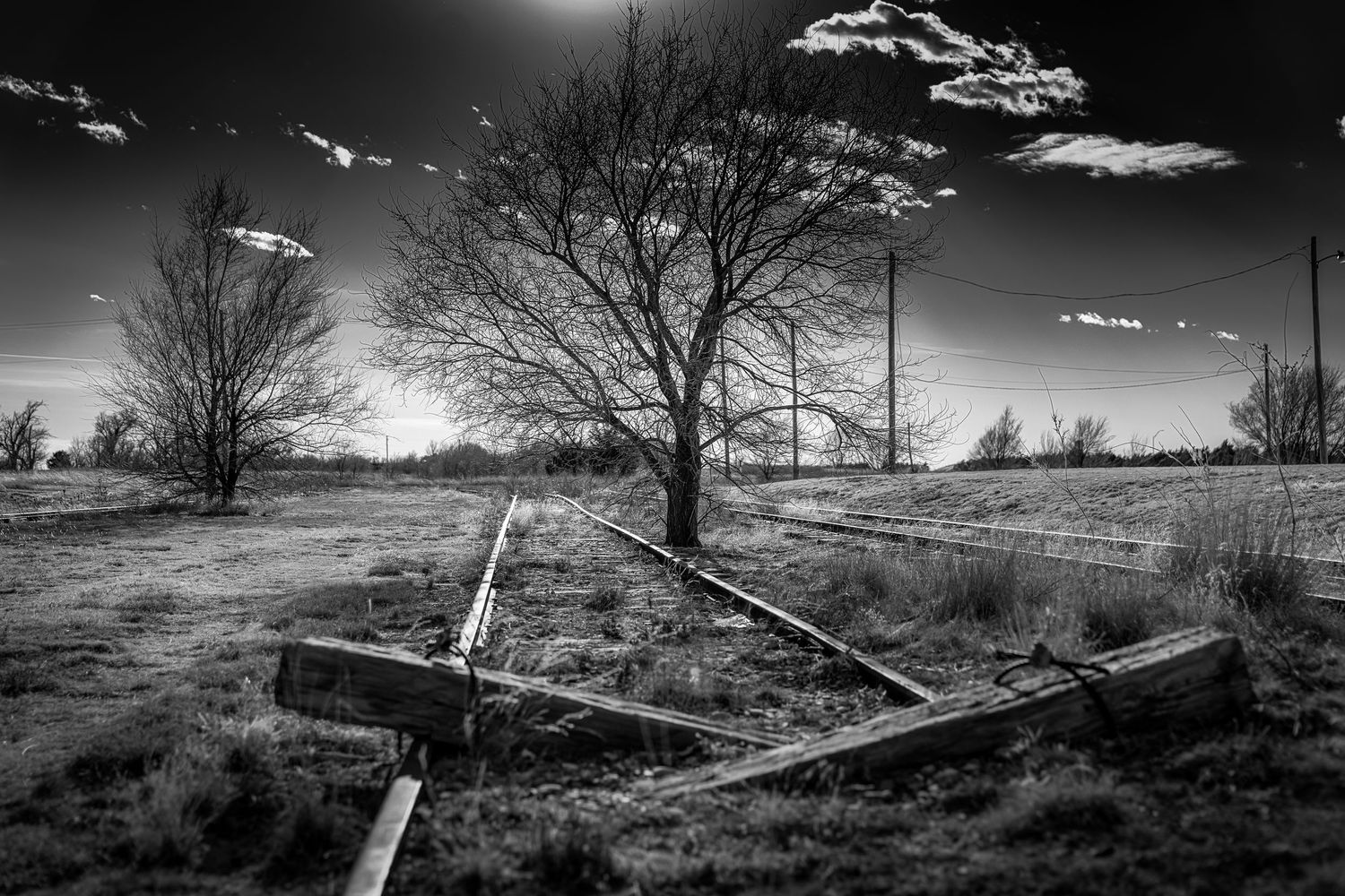 Black and white photo of a bare tree beside collapsed railroad tracks in a rural field under a cloudy sky.
