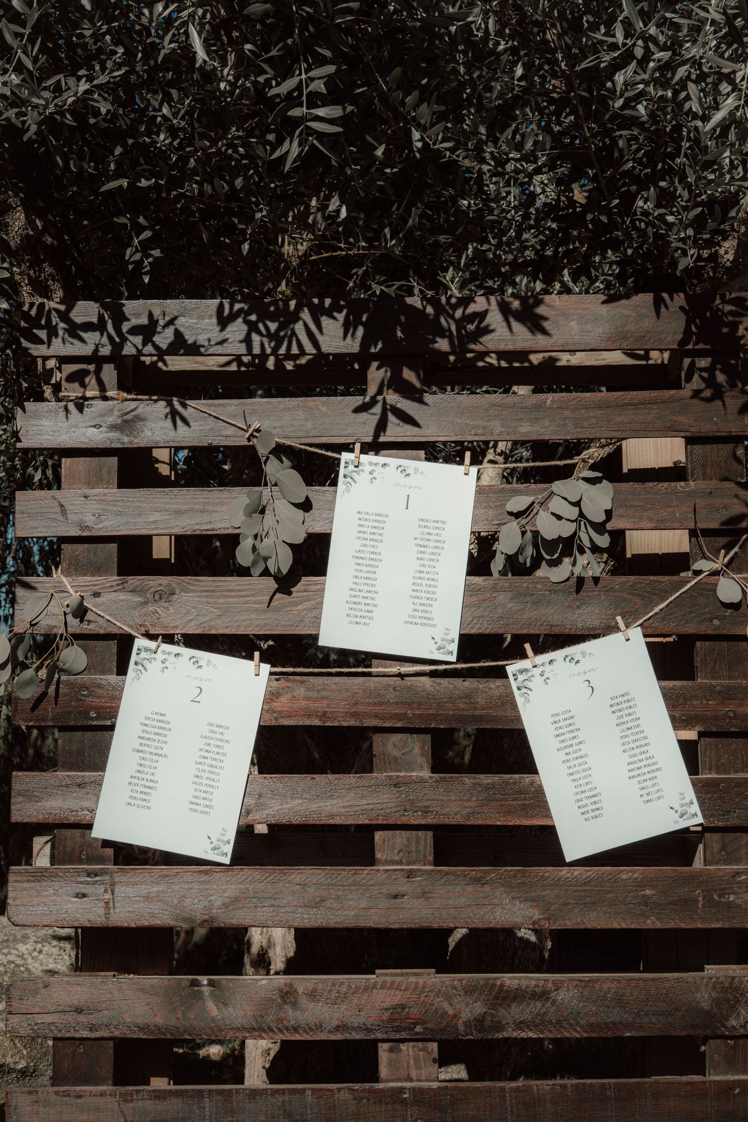 Sofia Correia Photography

Wedding