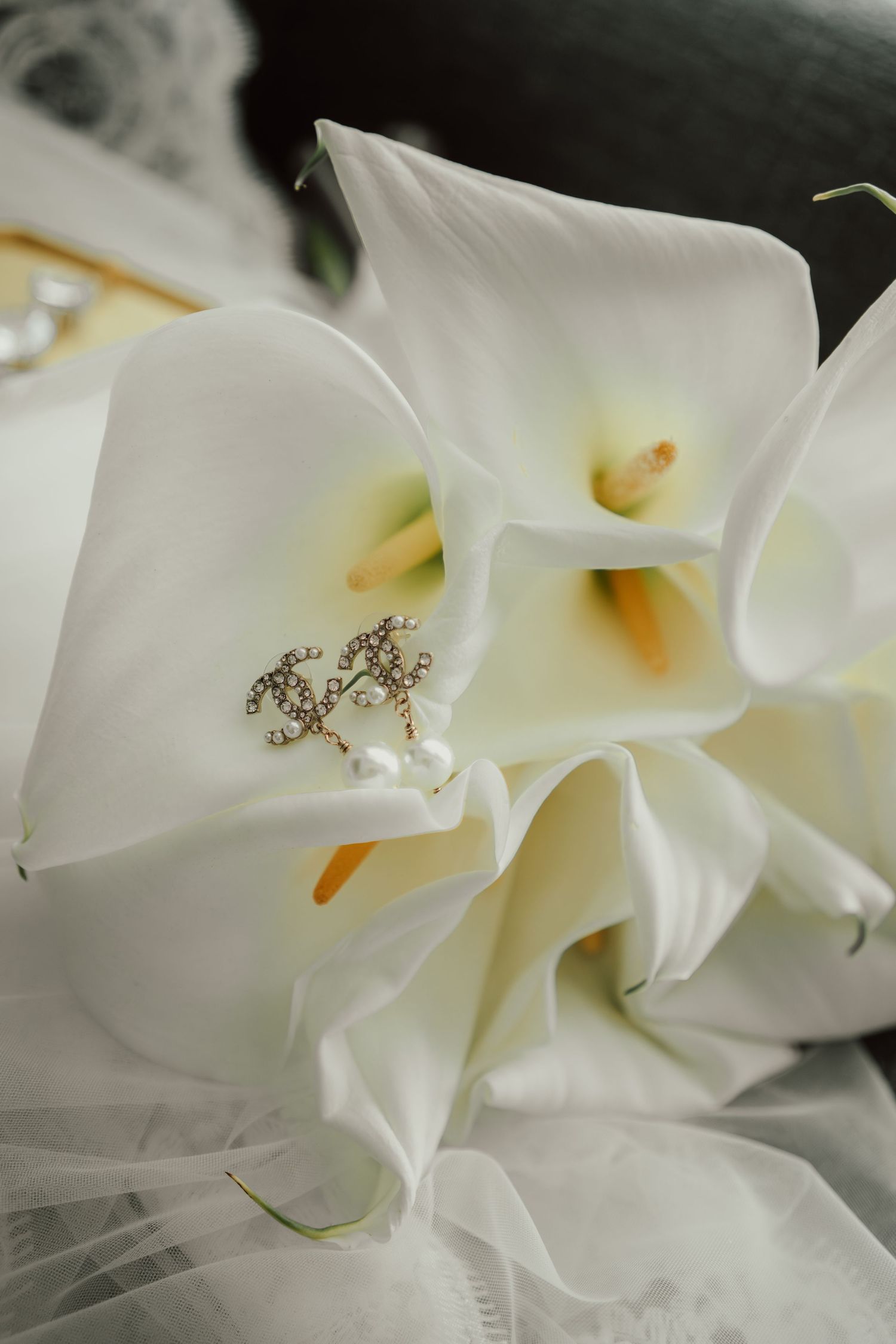 Sofia Correia Photography

Wedding