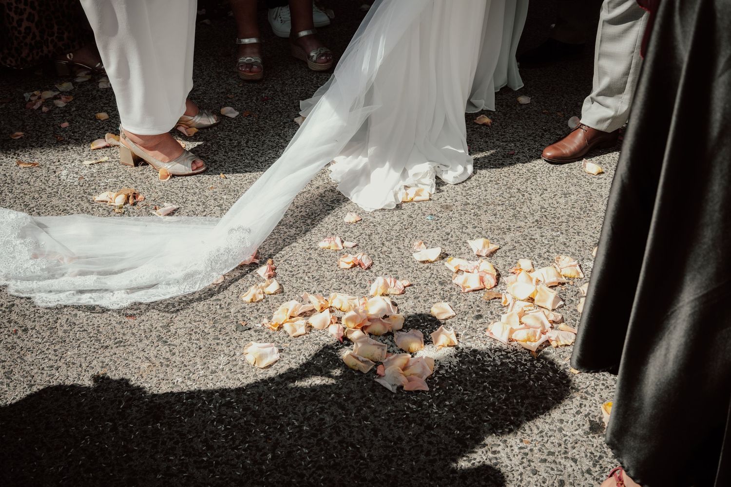 Sofia Correia Photography

Wedding