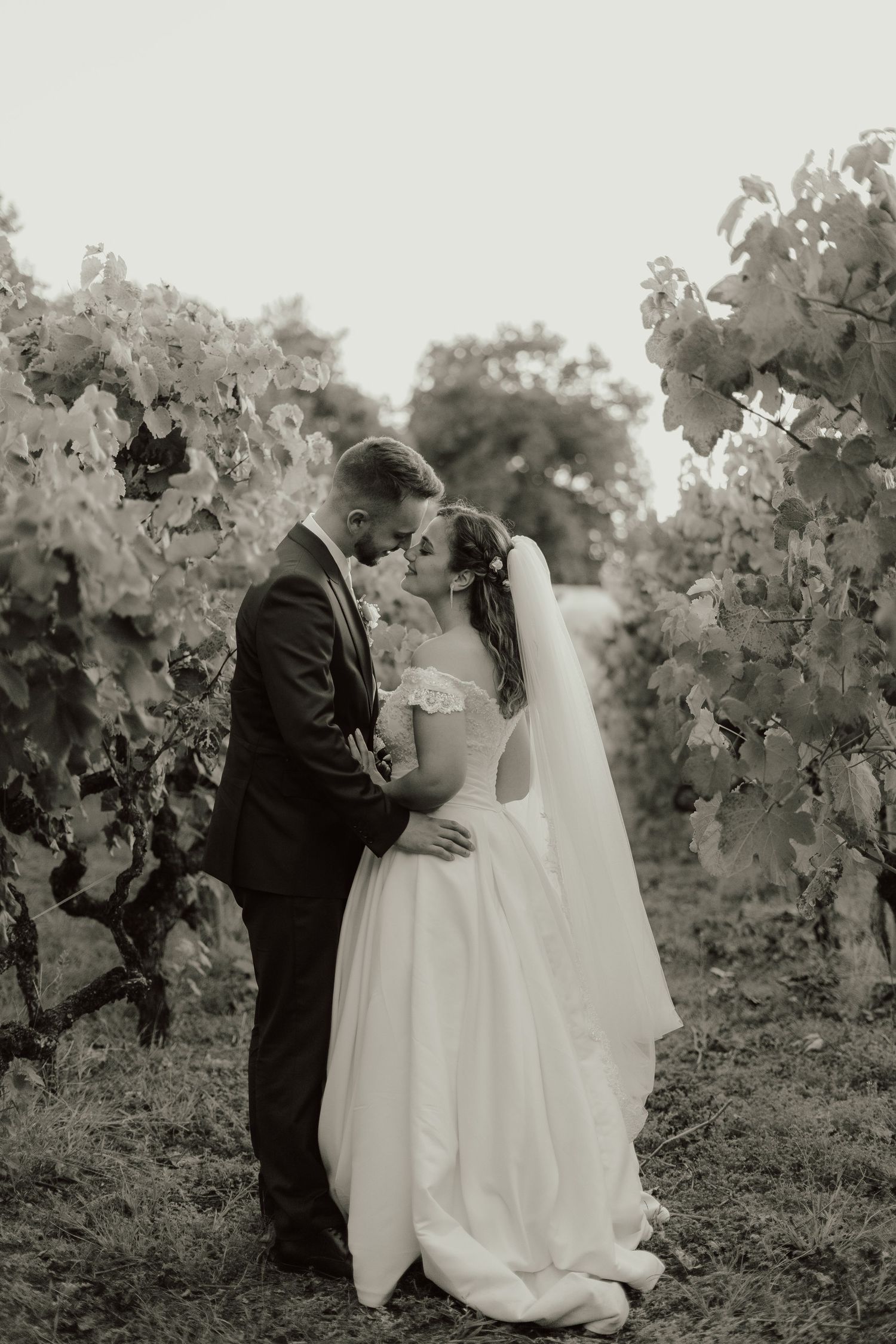 Sofia Correia Photography

Wedding