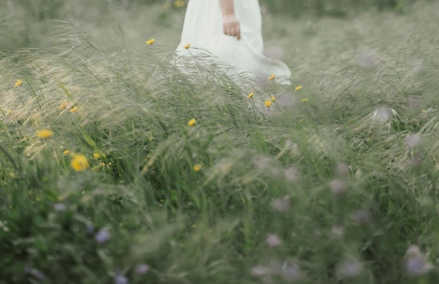 Sofia Correia Photography

Engagement Session Sintra