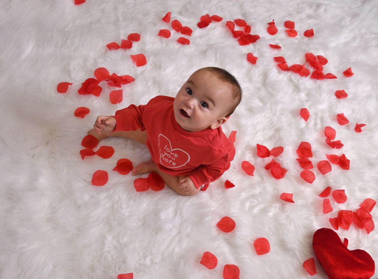 Baby surrounded by red rose petals during a Valentine's Day milestone portrait by a Central Florida Photographer.