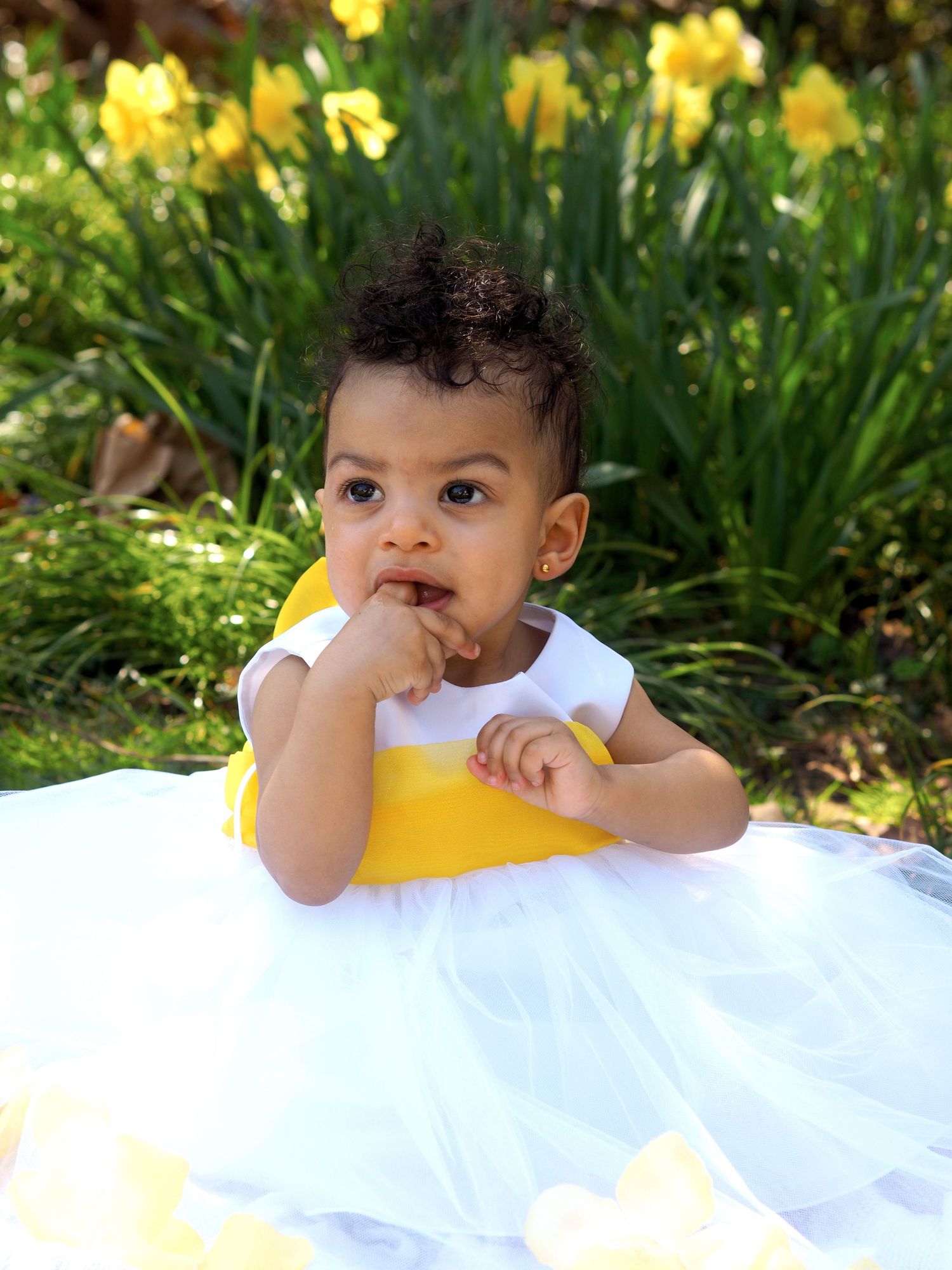 An adorable baby in a yellow and white tutu dress sits outdoors among blooming daffodils.