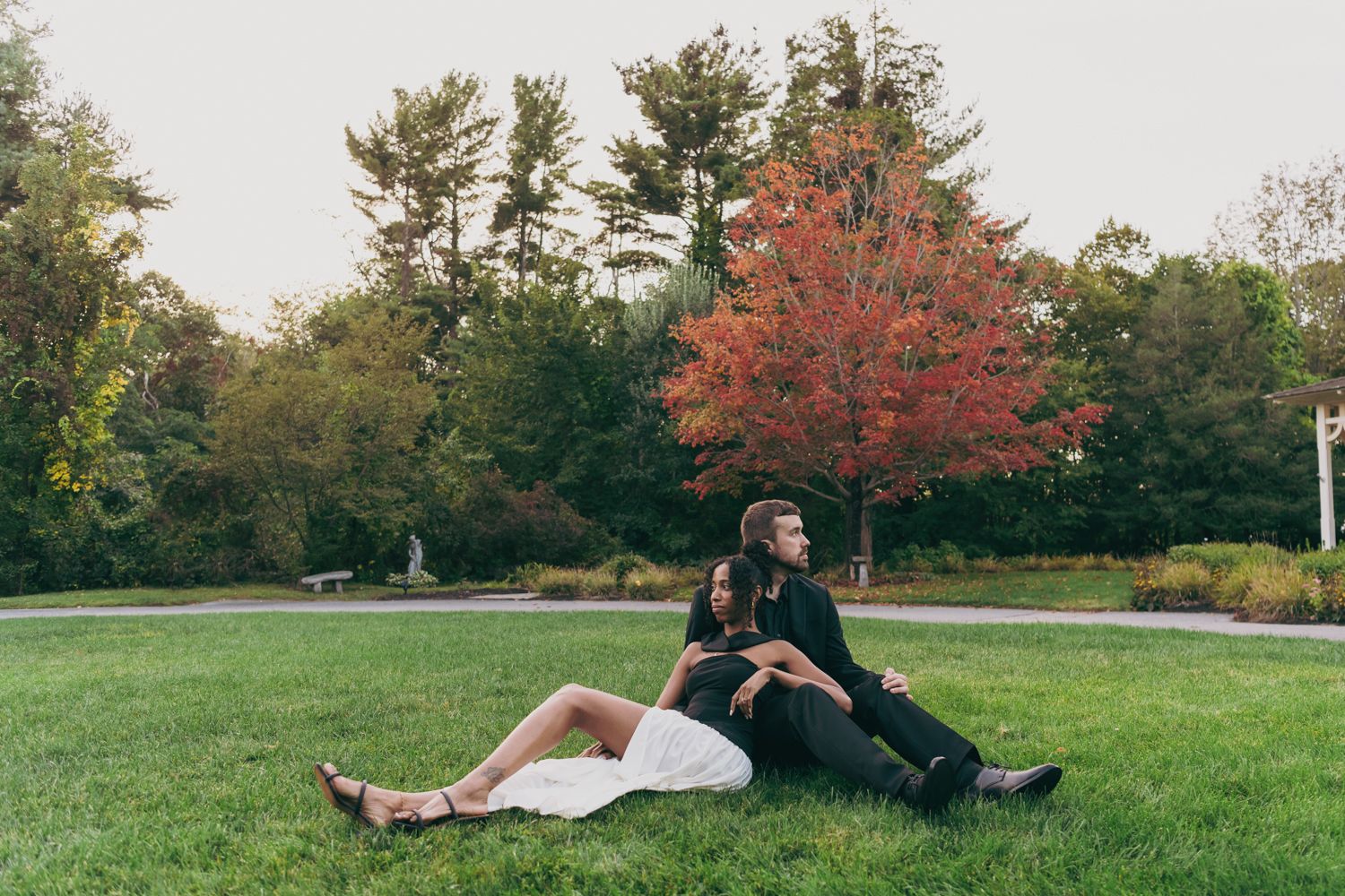Couple sitting back-to-back on green grass in a park with vibrant autumn foliage trees in background.