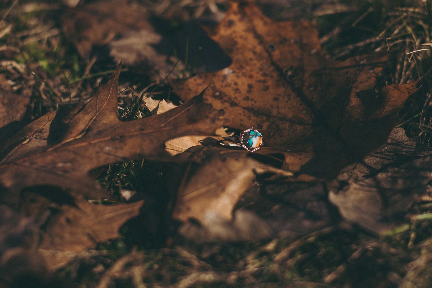 A delicate ring with a blue gemstone resting on autumn brown fallen leaves in a forest setting.