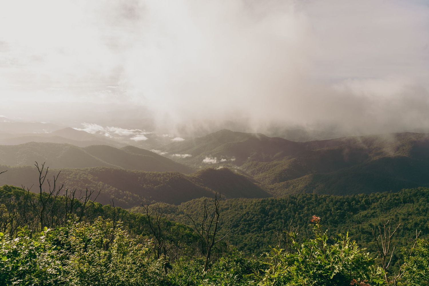 Scenic mountain landscape with lush green hills partially covered by dramatic low-hanging clouds and mist.