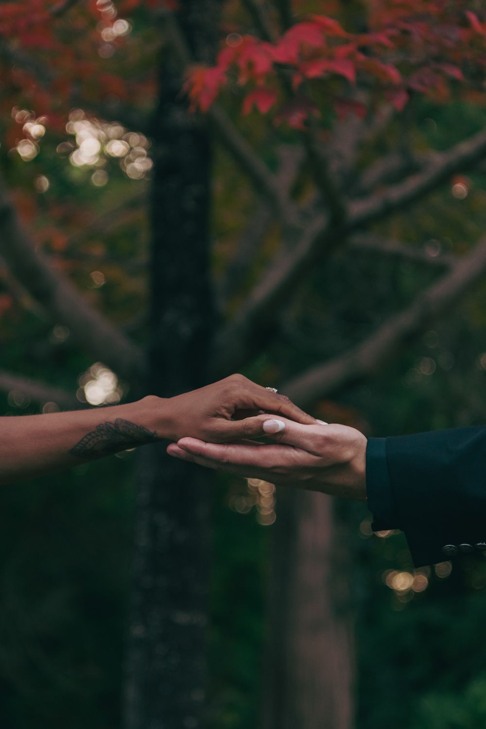 Two hands reaching toward each other with red autumn foliage in the background.