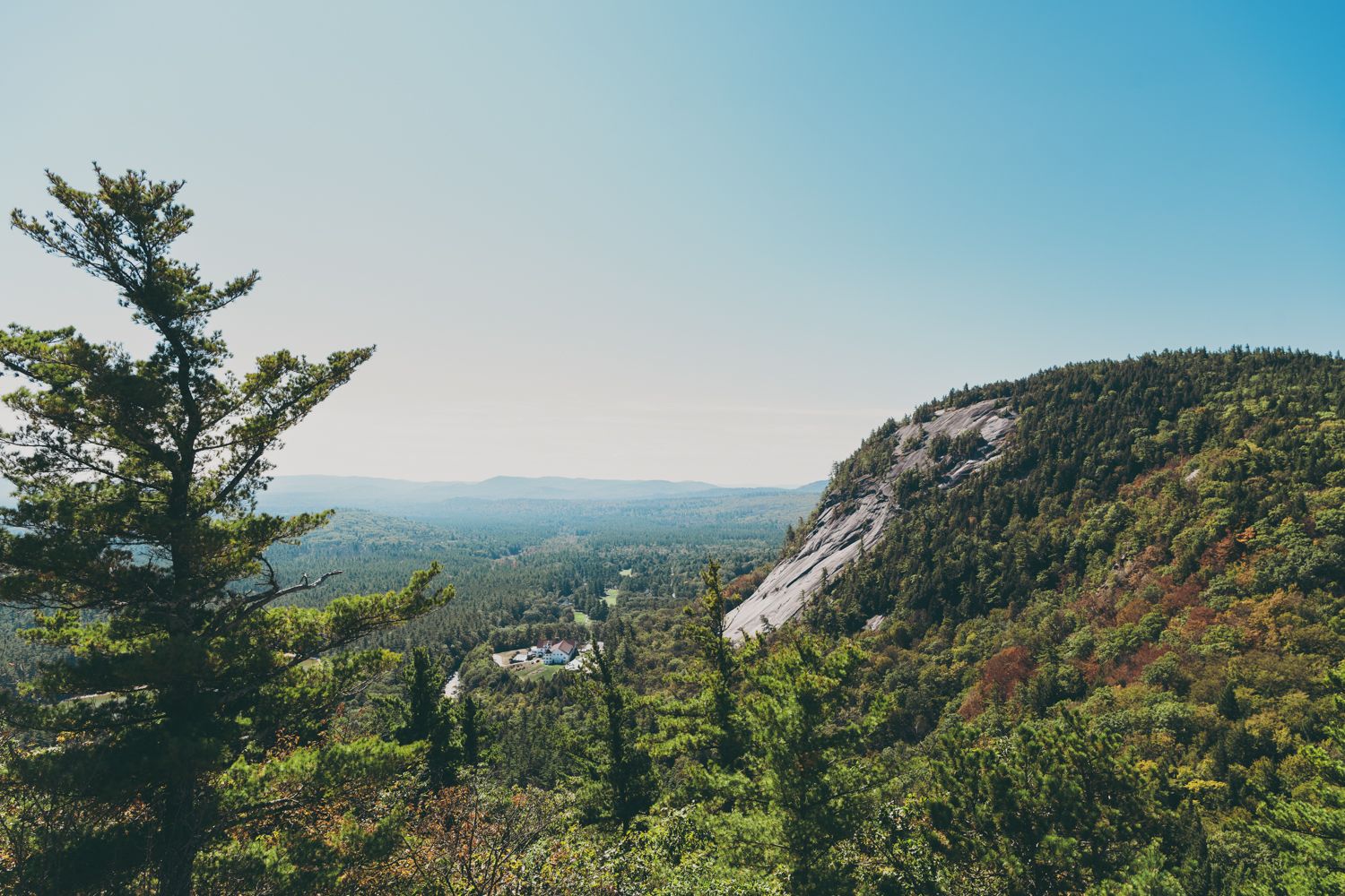 Scenic mountain landscape with lush green forest and rocky granite cliffs under a clear blue sky.